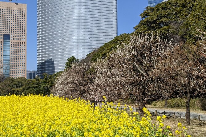 Tokyo Tsukiji & Hamarikyu Gardens Wellness Tour – Walk and Relax - Private Tour Experience
