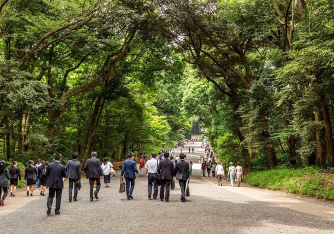 Tokyo Uncovered: A Luxury Day of Tradition & Tech - Exploring Yoyogi Park and Meiji Shrine