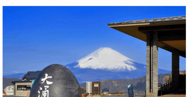 Tokyo: Unmissbale Private Tour To Mount Fuji in Vellfire - Group Size and Additional Accommodations