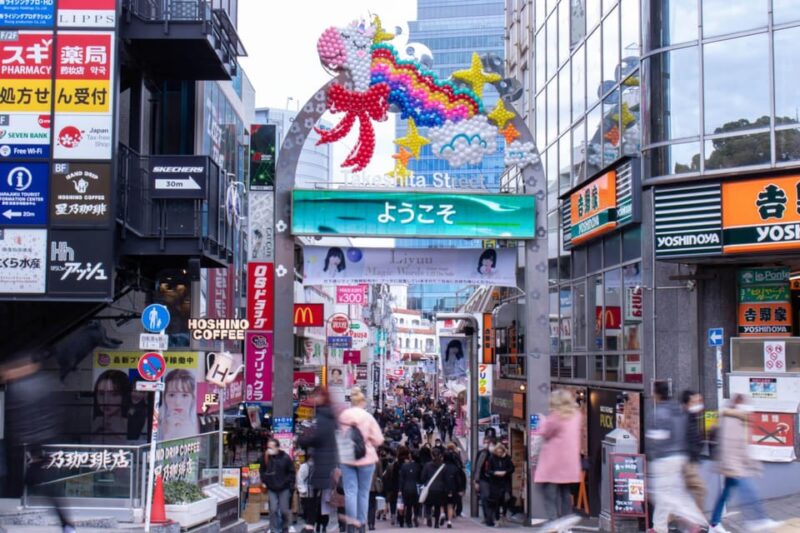 Tokyo: Vegan Sushi and Meiji Shrine and Harajuku Walk - What to Expect on the Tour