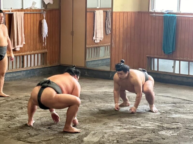 Tokyo: Visit Sumo Morning Practice With English Guide - Meeting Point and Schedule