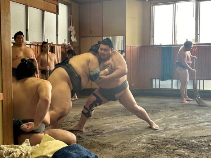 Tokyo: Visit Sumo Morning Practice With English Guide - Customer Ratings and Feedback