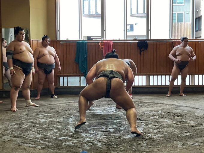 Tokyo: Visit Sumo Morning Practice With English Guide - Why You Should Visit Sumo Morning Practice