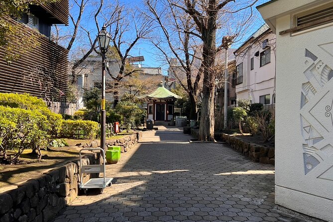 Tokyo Walking Tour of Historic Shopping Streets Yanaka - Museum Guidelines and Accessibility