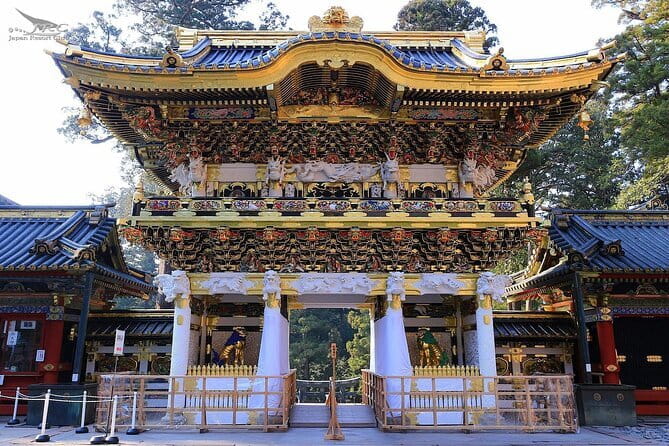 Tokyo Walking Tour : Sumo, Sushi, Tea, Temples and Tokyo Tower - Booking and Accessibility