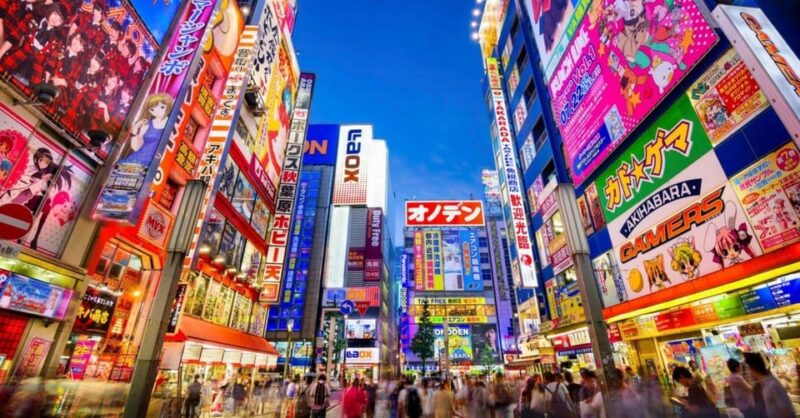 Tokyo: Winter Illuminations Private Tour With a Local - Key Points
