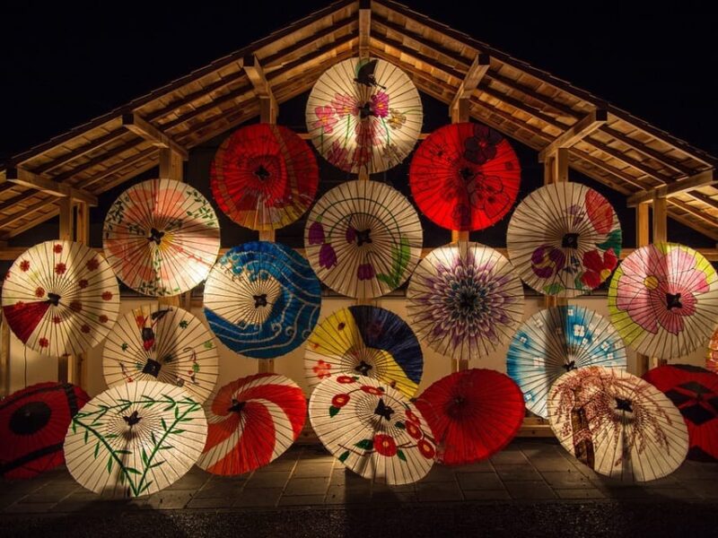 Tokyo: Winter Illuminations Private Tour With a Local - Personalization and Flexibility