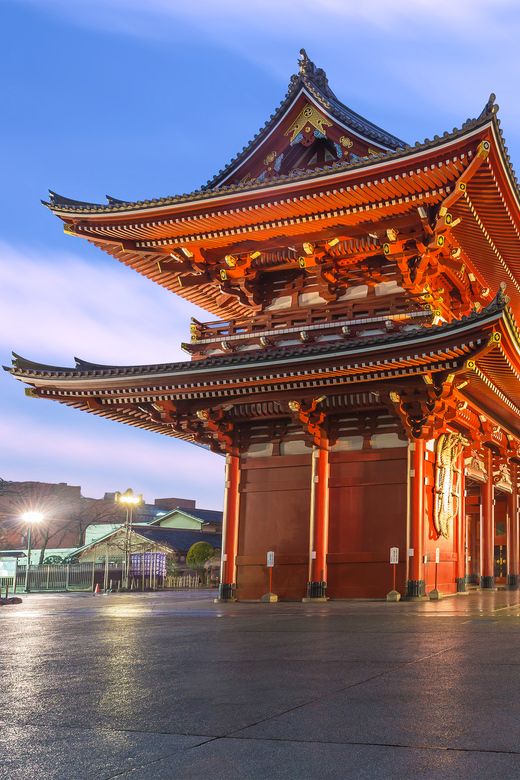 Tokyo: Winter Illuminations Private Tour With a Local - Participant Information and Reviews