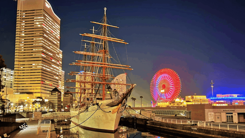 Tokyo & Yokohama: Highlights From City to City Full-Day Tour - Professional Photographer Services (Optional)