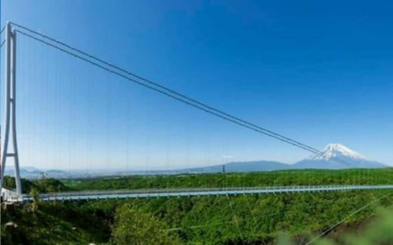 Tokyo:Customizable Private Day Trip to Mt.Fuji & Safari Park - Exploring the Tokyo: Customizable Private Day Trip to Mt. Fuji & Safari Park