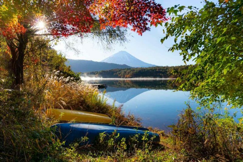 Tokyo:Customizable Private Day Trip to Mt.Fuji & Safari Park - Final Thoughts