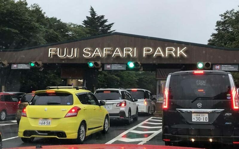 Tokyo:Customizable Private Day Trip to Mt.Fuji & Safari Park - Source