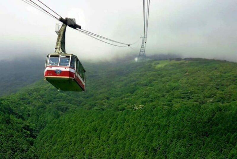 Tokyo:Hakone,Mt.Fuji,Cruise,ropeway,w/lunch,Shinkansen - A Practical Guide to the Tour