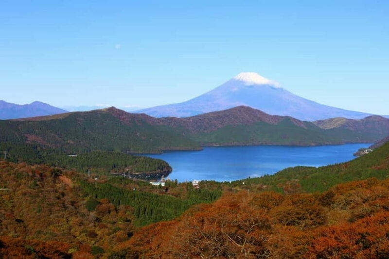 Tokyo:Hakone,Mt.Fuji,Cruise,ropeway,w/lunch,Shinkansen - Final Thoughts: Who Should Consider This Tour?