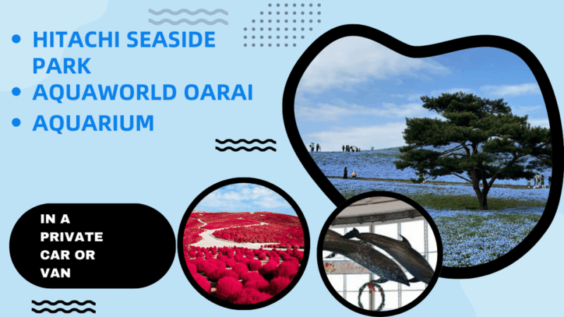 Tokyo:Hitachi Seaside Park and Aquaworld Oarai Aquarium Tour - Key Points