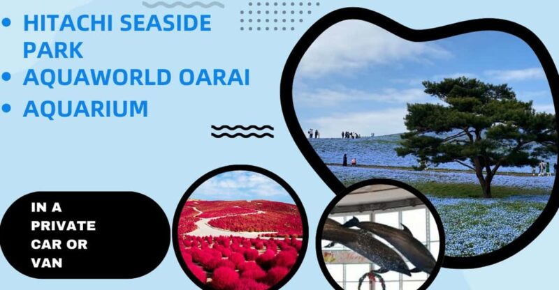 Tokyo:Hitachi Seaside Park and Aquaworld Oarai Aquarium Tour - Aquaworld Oarai Aquarium