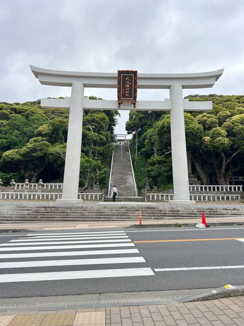 Tokyo:Hitachi Seaside Park/Oarai Isosaki Shrine Private Tour - Wi-Fi and Toll Taxes Included