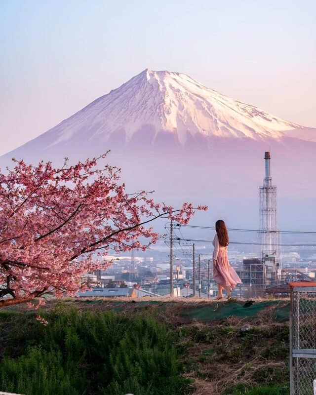 Tokyo:Mount Fuji & Hakone Customized Tour With English Guide - Itinerary Highlights