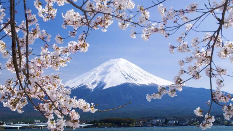 Tokyo:Mount Fuji & Hakone Customized Tour With English Guide - Transportation and Pickup Details