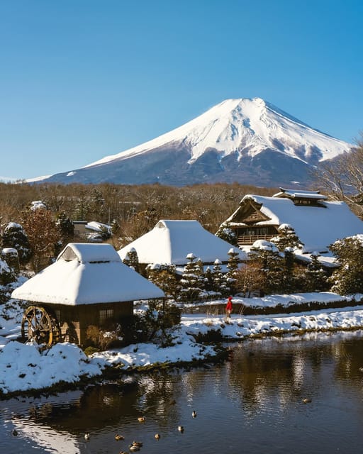 Tokyo:Mount Fuji & Hakone Customized Tour With English Guide - Optional Stops: Mount Fuji 5th Station, Hakone Ropeway, and Lake Ashi
