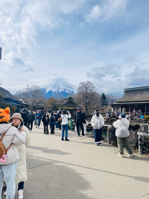 Tokyo:Mount Fuji Private Tour With English Speaking Guide - Capture the Iconic Chureito Pagoda