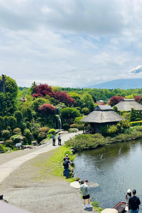 Tokyo:Mount Fuji Private Tour With English Speaking Guide - Exceptional Customer Experiences