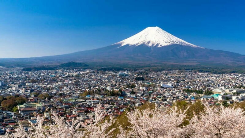 Tokyo:Mt. Fuji 5th Station&Onsen Day Trip | Seasonal Special - Key Points