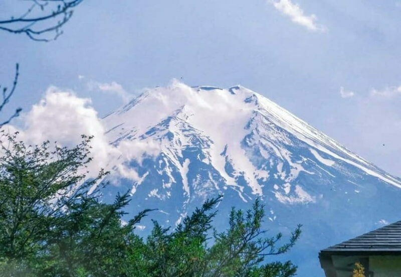 Tokyo:Mt. Fuji 5th Station&Onsen Day Trip | Seasonal Special - Who Will Find This Tour Most Useful?