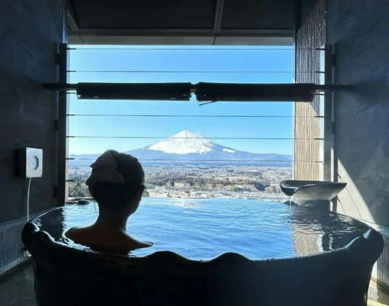 Tokyo:Mt. Fuji 5th Station&Onsen Day Trip | Seasonal Special - Final Thoughts