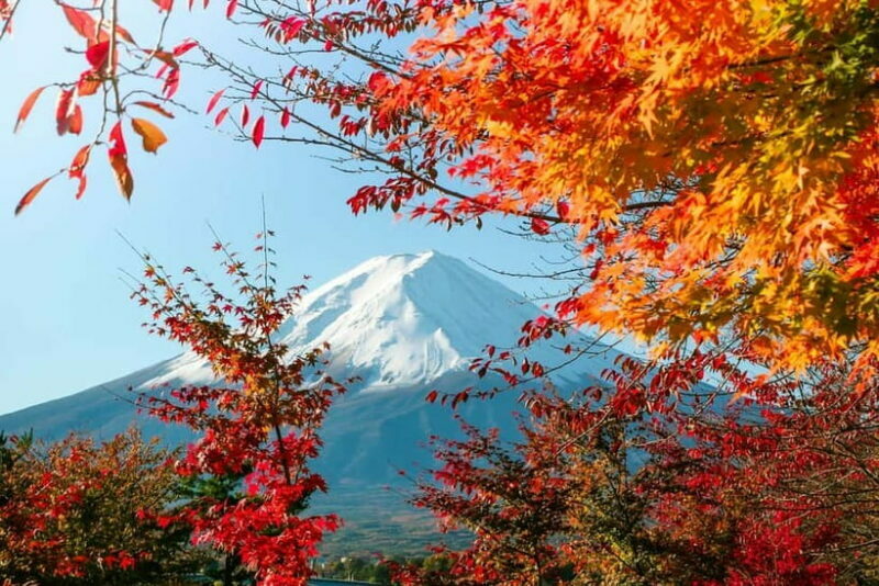 Tokyo:Mt.Fuji 5th Station,Oshino Hakkai&Kawaguchiko Day Tour - Introduction
