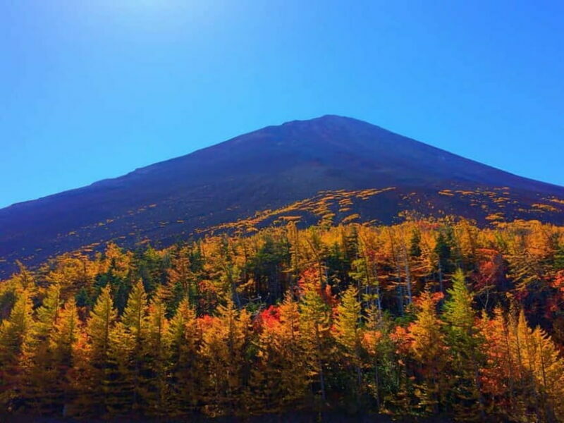 Tokyo:Mt.Fuji 5th Station,Oshino Hakkai&Kawaguchiko Day Tour - Key Points