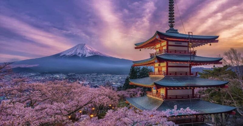 Tokyo:(Mt.Fuji) Mount Fuji & Hakone Private Sightseeing Tour - Itinerary Highlights