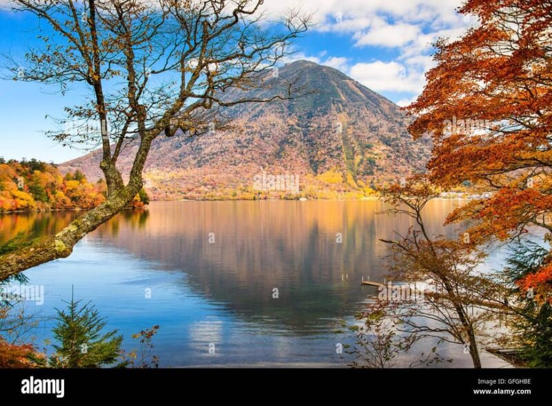 Tokyo:Nikko Private Full Day Sightseeing Day Trip - Inclusions and Exclusions