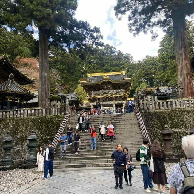 Tokyo:Nikko UNESCO World Heritage Sites Private 1-Day Tour - Overview: Your Personalized Journey Through Nikko’s Treasures