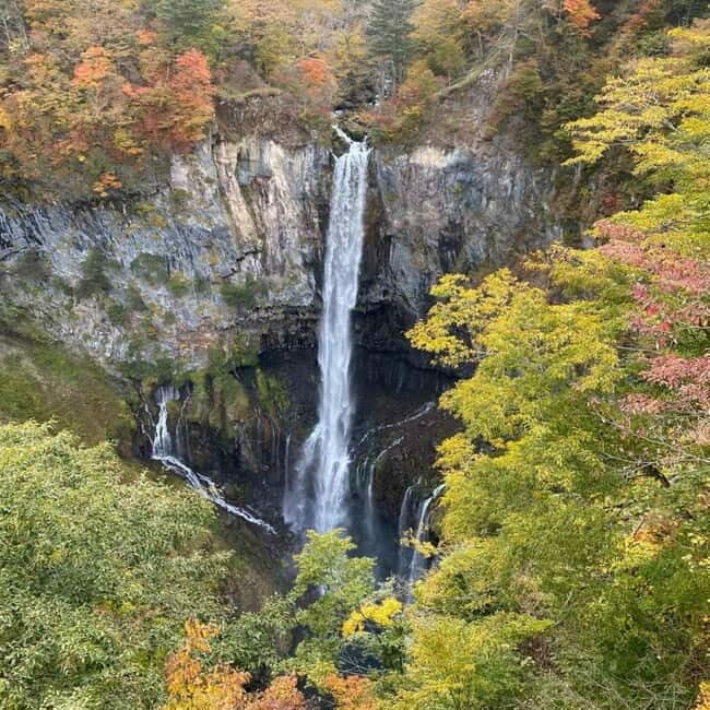 Tokyo:Nikko UNESCO World Heritage Sites Private 1-Day Tour - The Experience: What to Expect