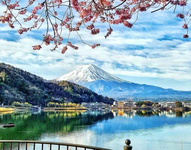 Tokyo:Private Luxury Car Tour to Mt. Fuji and Lake Kawaguchi - Tour Exclusions