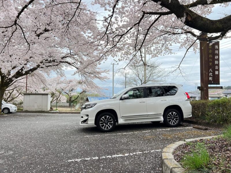 Tokyo:Private Mt Fuji Sightseeing Tour in Luxury Landcruiser - Key Points