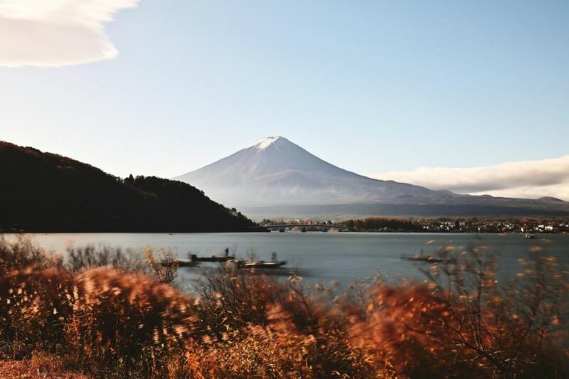 Tokyo:Private Tour to Mount. Fuji + Hakone W/ English Driver - Transportation and Logistics