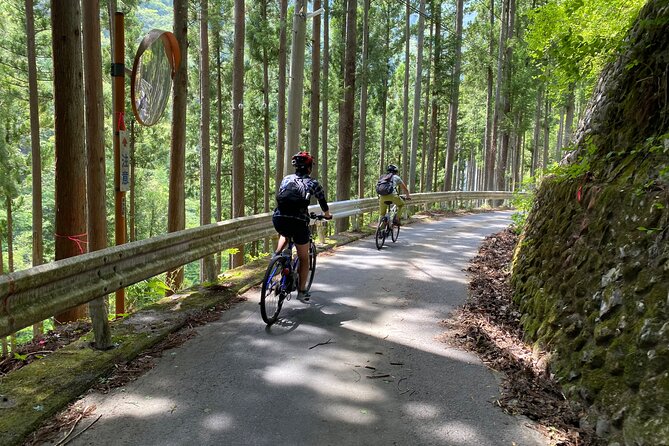 Tokyos Hidden Nature Cycling Tour - Okutama Historical Road Tour - Tour Details