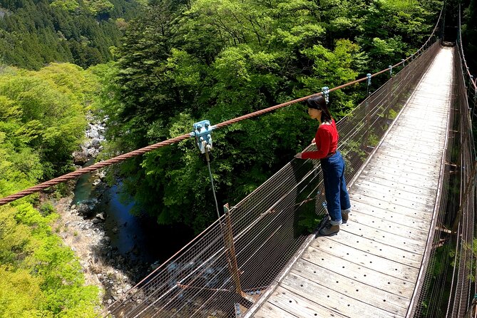 Tokyos Hidden Nature Cycling Tour - Okutama Historical Road Tour - Traveler Capacity