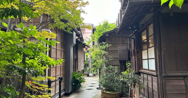Tokyo's Old Traditional Town - Yanaka, Nezu & Ueno Sakuragi - Key Points