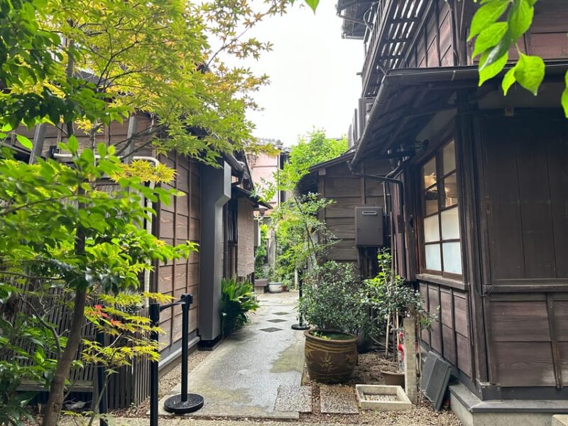 Tokyo's Old Traditional Town - Yanaka, Nezu & Ueno Sakuragi - Group Size and Language