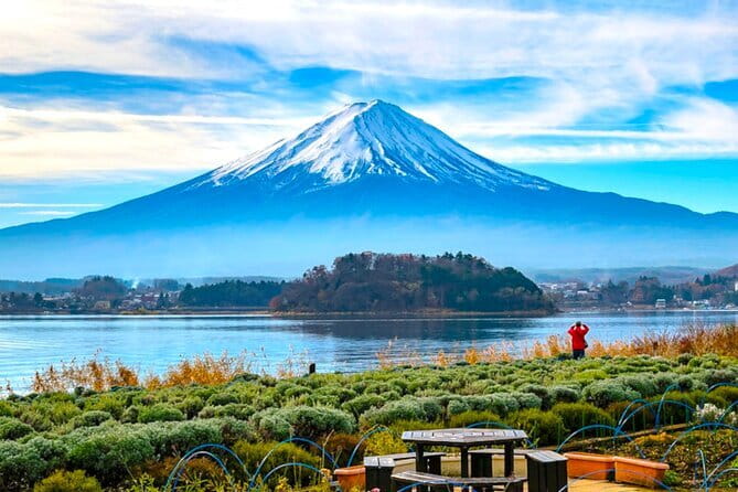 Tokyos Private Tour : From Ancient Temples to Modern Tokyo - Positive Reviews