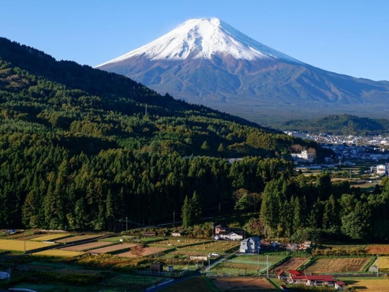 Tokyo:Superultimate Mt.Fuji Trip With English Speaking Guide - Ascent to the 5th Station