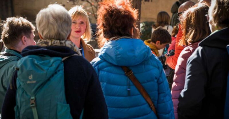 Toledo: Private Guided Tours in English, German or Spanish - Highlights