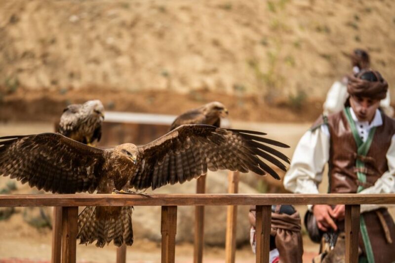 Toledo: Puy Du Fou Spain Entry Ticket - Visitor Ratings and Feedback