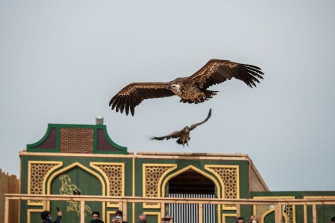Toledo: Puy Du Fou Spain Entry Ticket - Admission and Pricing