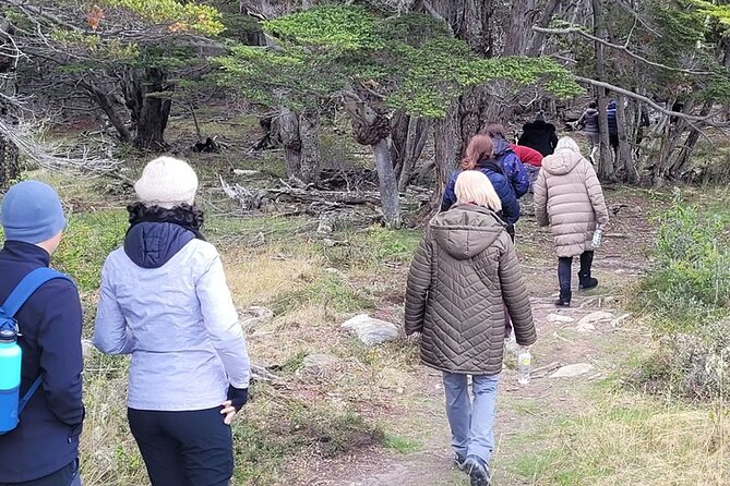 Tolhuin Natural and Gastronomic Circuit in 4x4 From Ushuaia - Traveler Reviews and Feedback