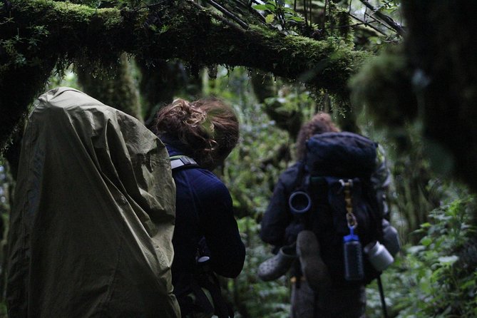Toliman Volcano Hike - Key Points