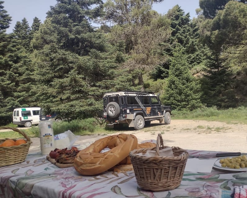Tolox: Sierra De Las Nieves National Park Private 4x4 Tour - Frequently Asked Questions